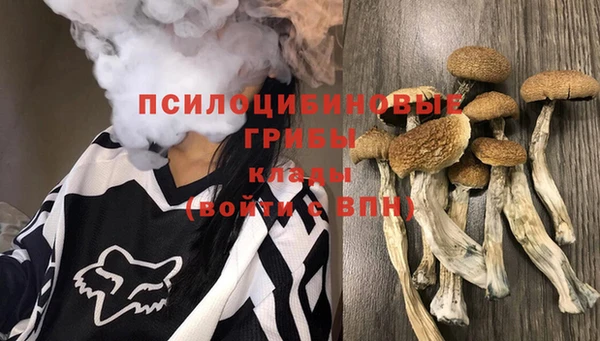 тгк Аркадак