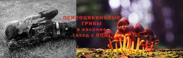 тгк Аркадак
