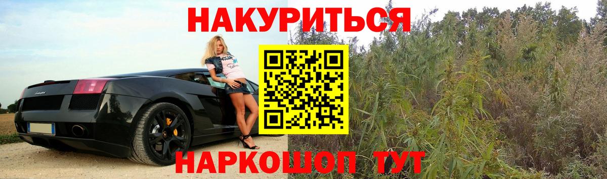 Бошки марихуана план  Бошки Шишки сатива  Волгодонск  Каннабис конопля  Марихуана конопля  Вход с VPN 